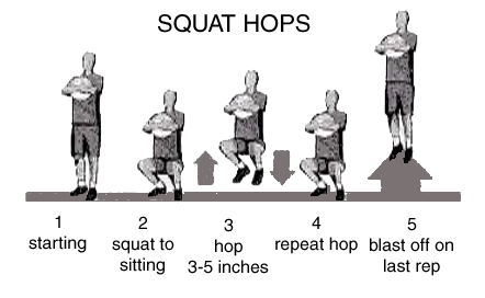 squat hops