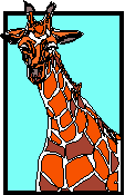 giraffa alla finestra