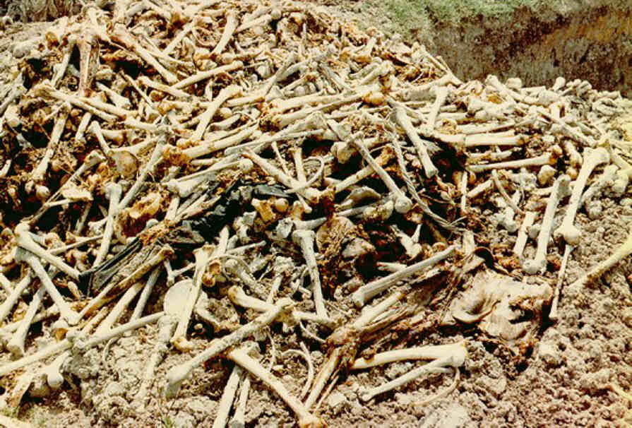 A small part of the Killing Fields